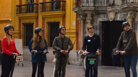 Tour panorâmico de diciclo elétrico em Málaga